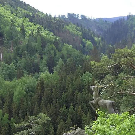Апартаменты Auf Dem Dach Des Frankenwaldes