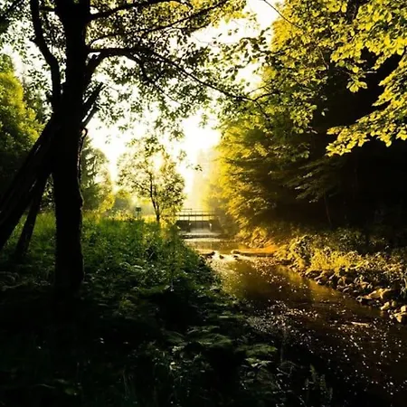 Auf Dem Dach Des Frankenwaldes Апартаменты Schwarzenbach am Wald