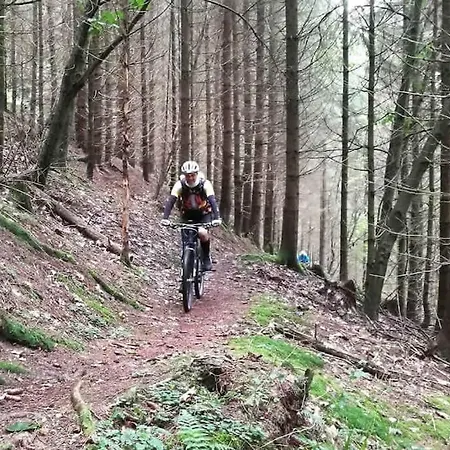 Lejlighed Auf Dem Dach Des Frankenwaldes