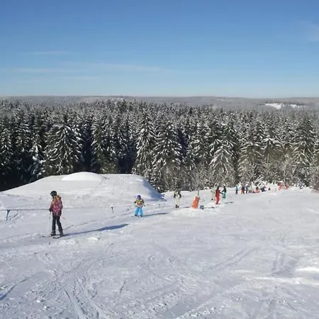 Auf Dem Dach Des Frankenwaldes Schwarzenbach am Wald